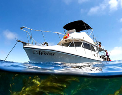 Marissa Dive Charters | Mission Bay Sportcenter | San Diego, CA