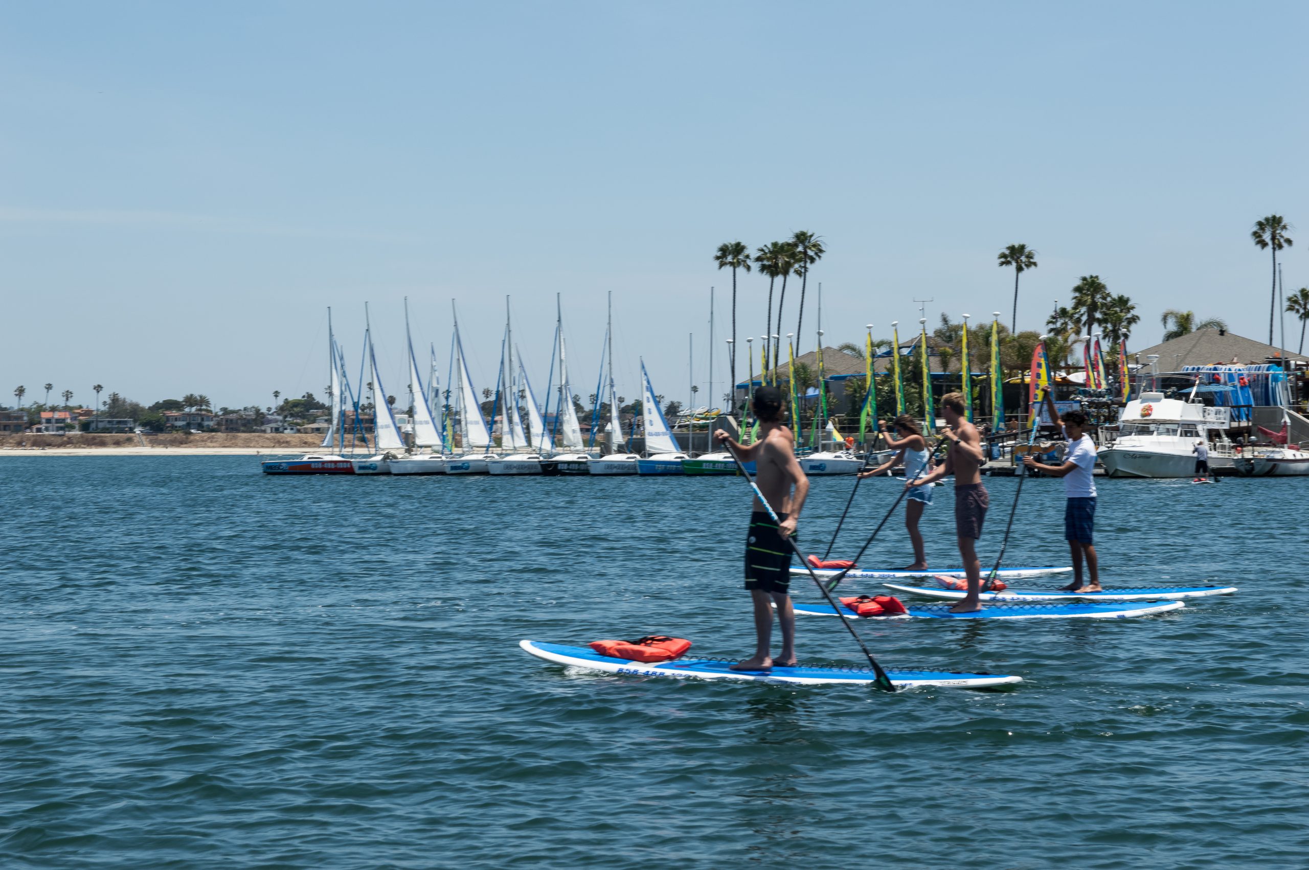 Mission Bay Sportcenter paddleboard rental on calm water
