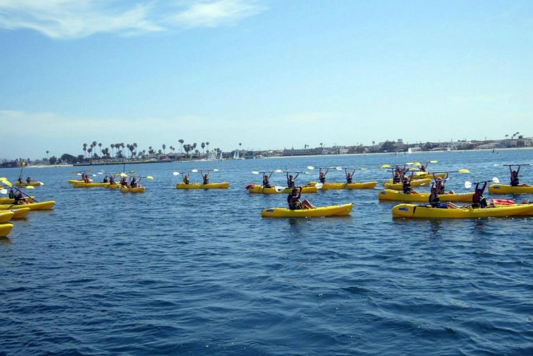 A group paddling yellow kayaks across Mission Bay